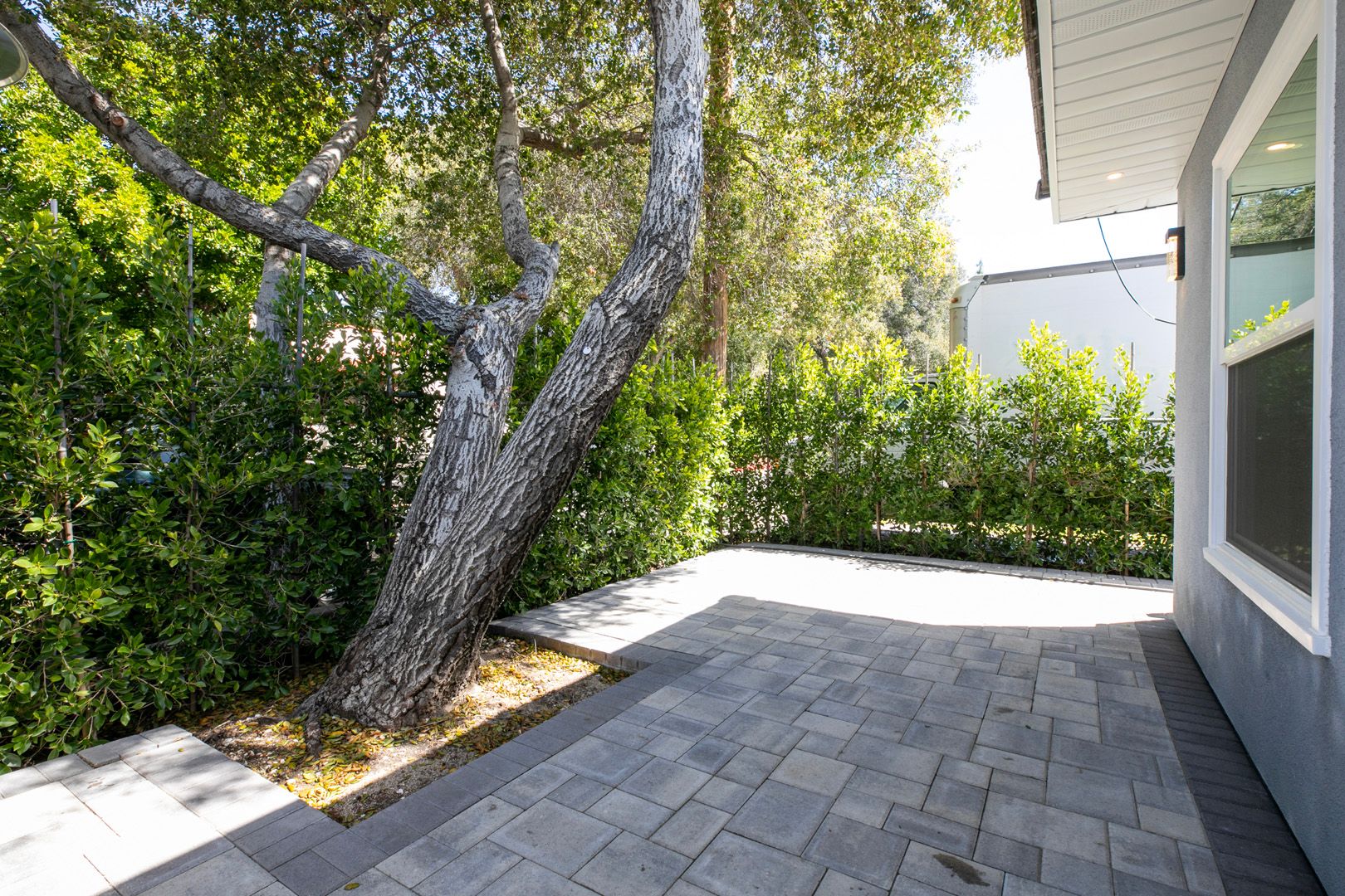 Courtyard Modern ADU in Glendale, CA photo 13