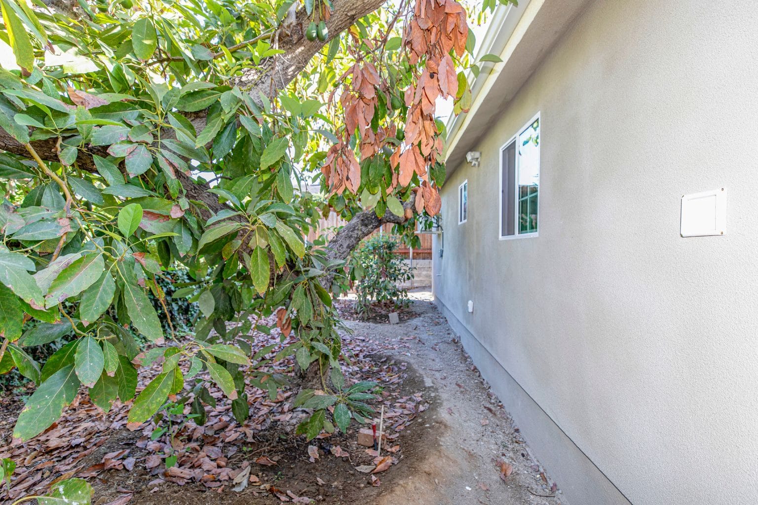 Modern ADU in Whittier photo 18